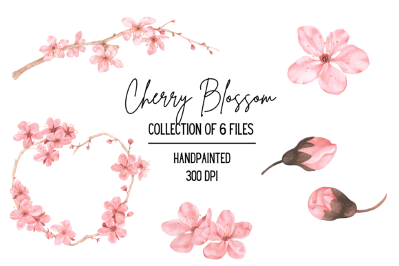 Elevate Your Designs with Watercolor Cherry Blossom Clipart